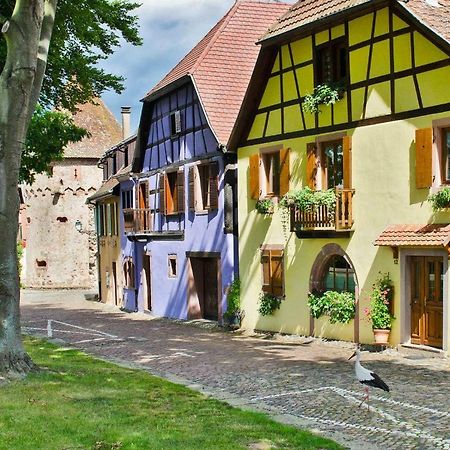 La Maison Jaune Ammerschwihr Ngoại thất bức ảnh