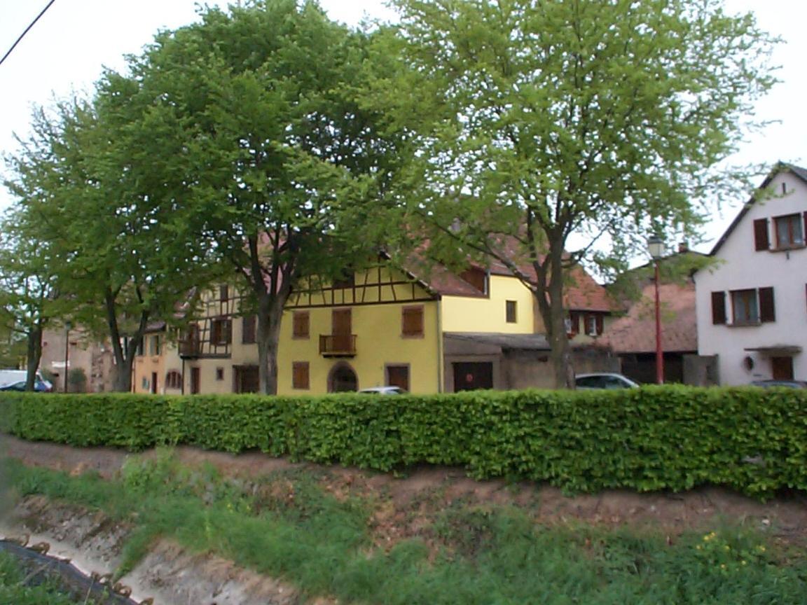 La Maison Jaune Ammerschwihr Ngoại thất bức ảnh