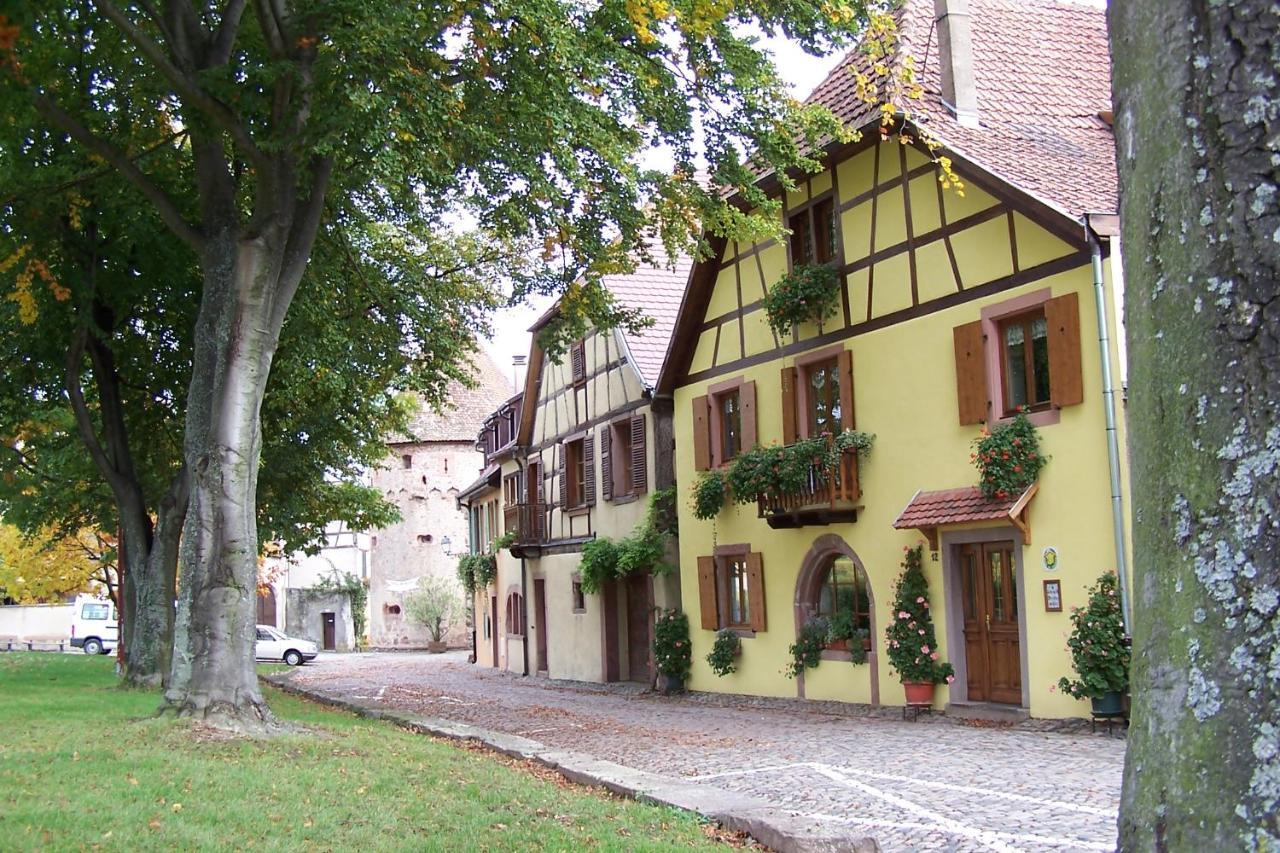 La Maison Jaune Ammerschwihr Ngoại thất bức ảnh
